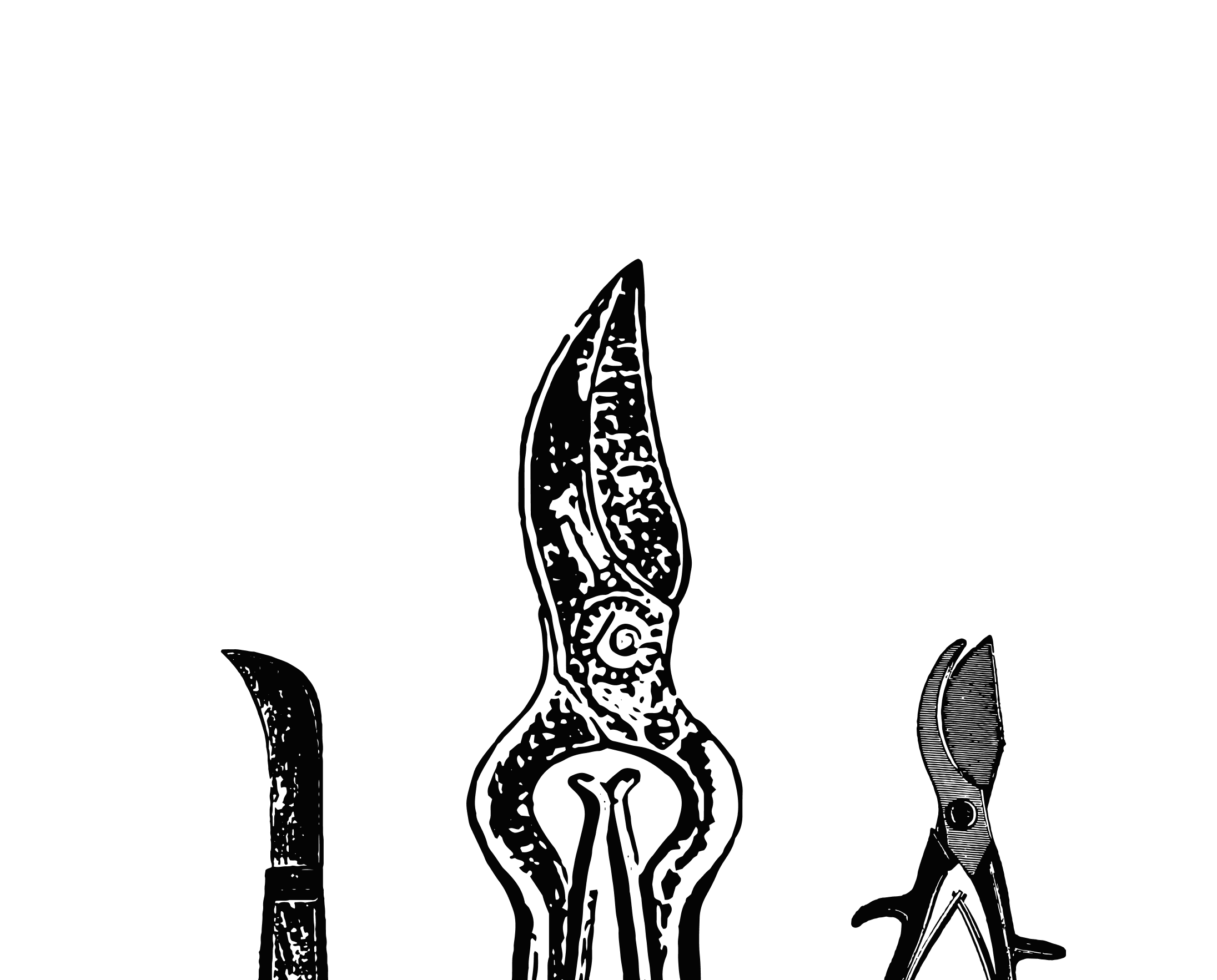 Default placeholder image