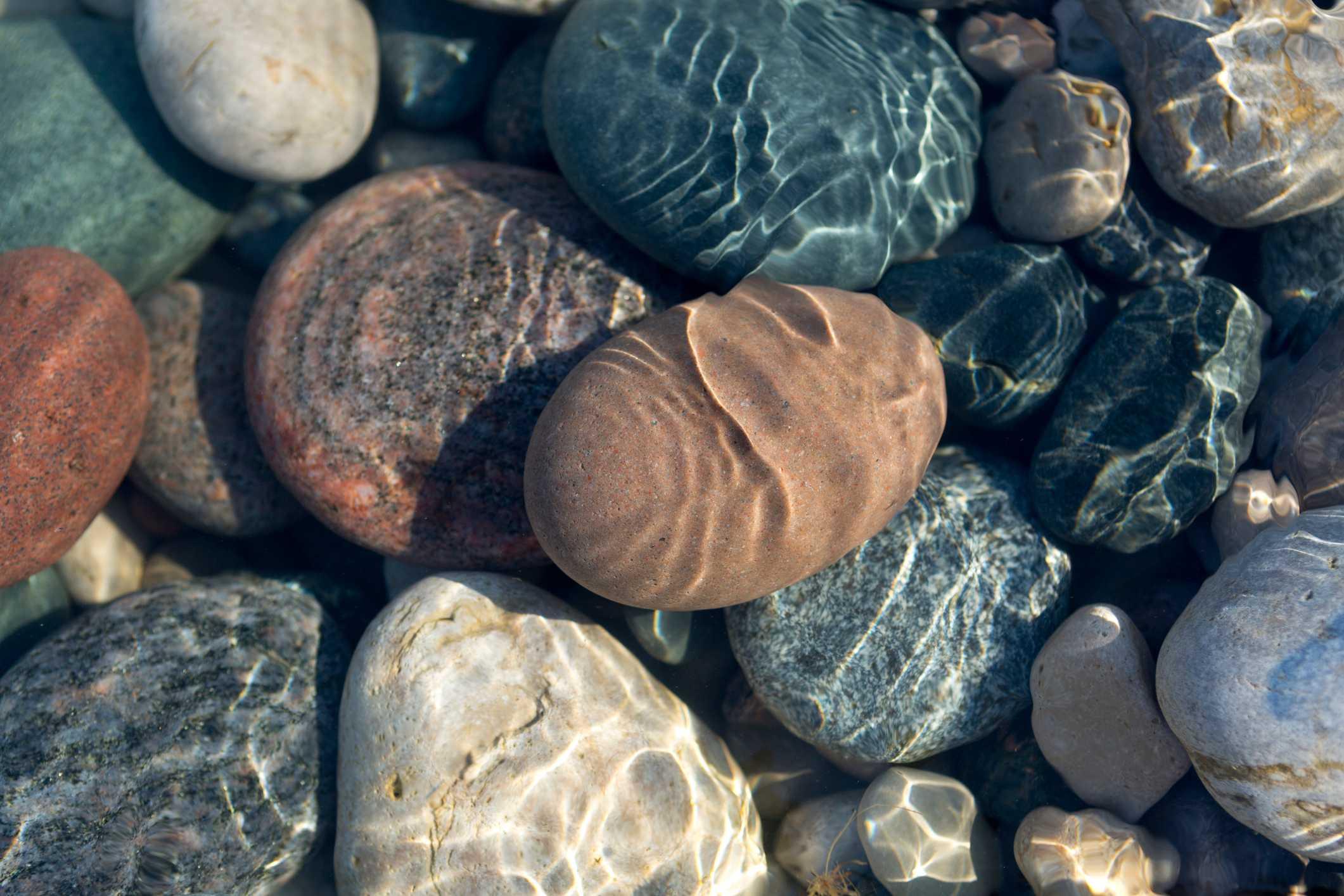 Default placeholder image
