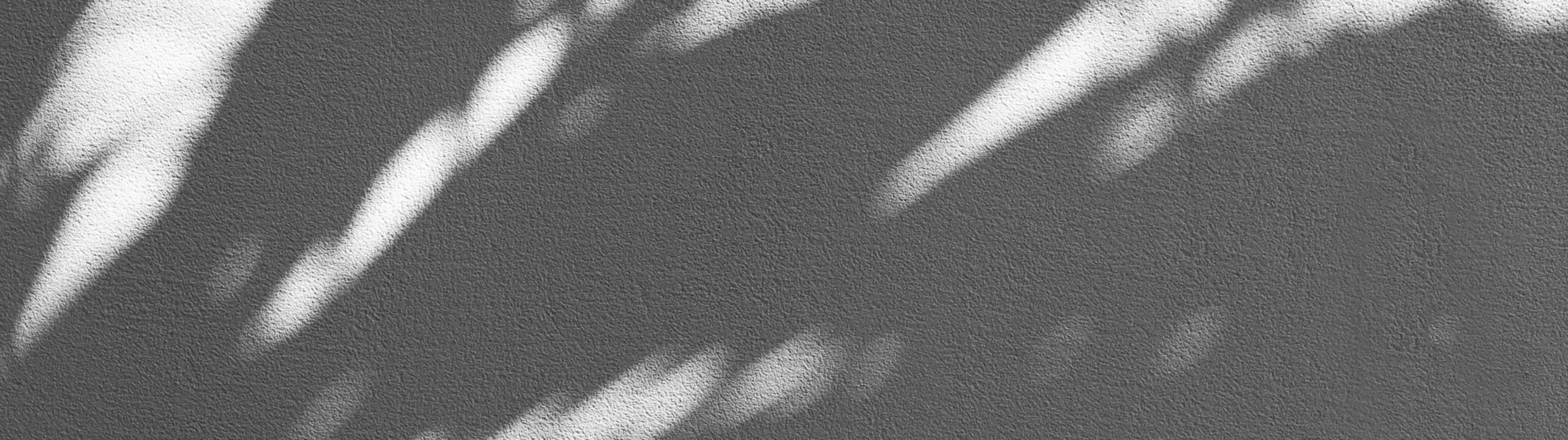 Default placeholder image