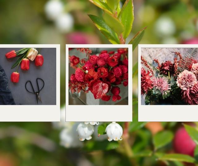 Default placeholder image